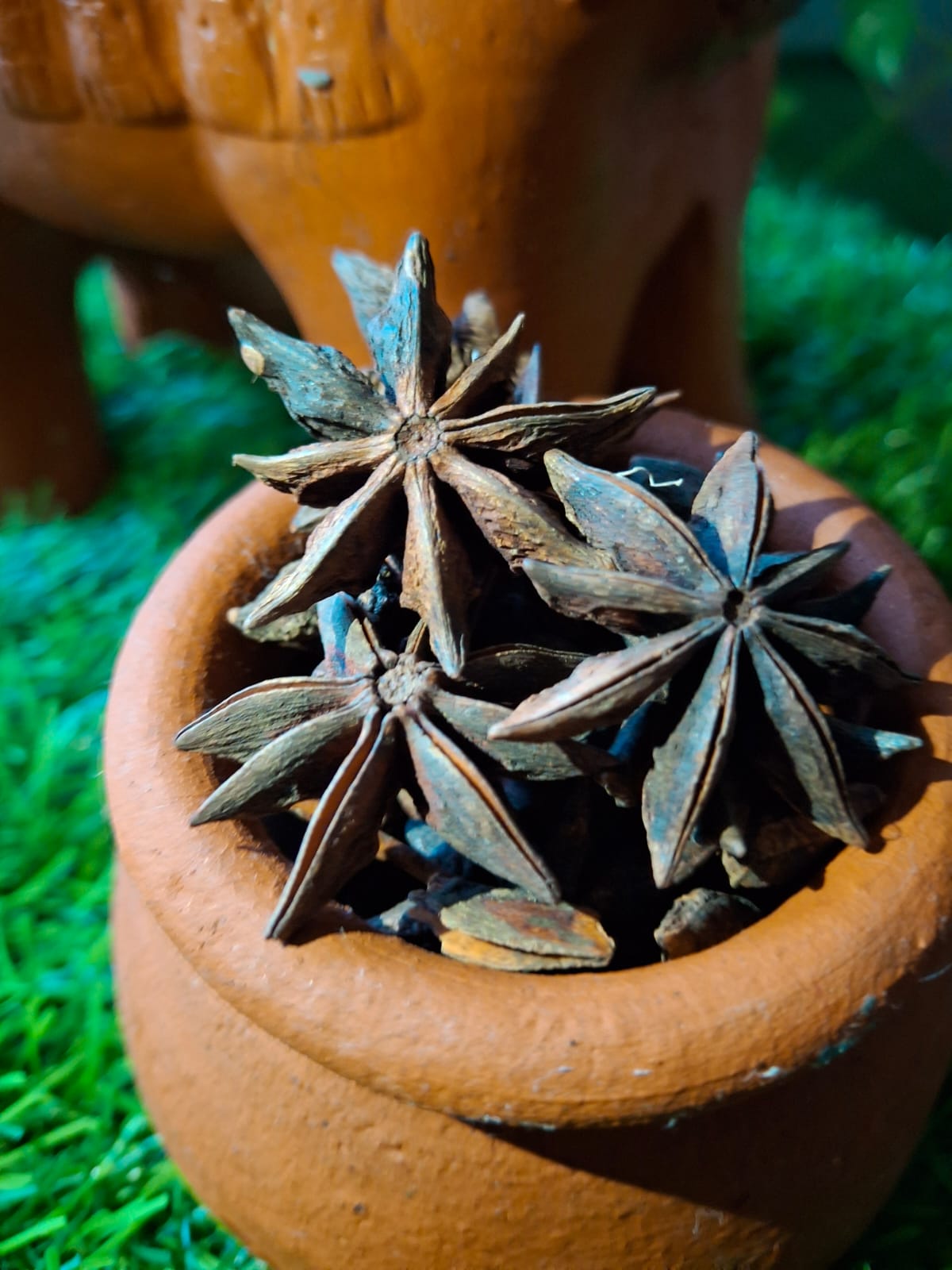 Star Anise